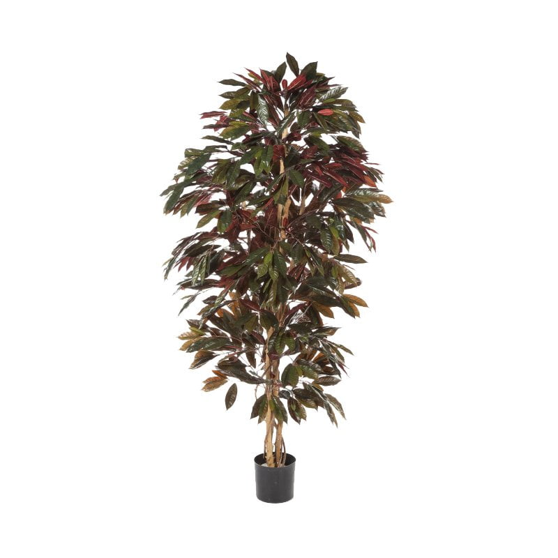 huren van planten