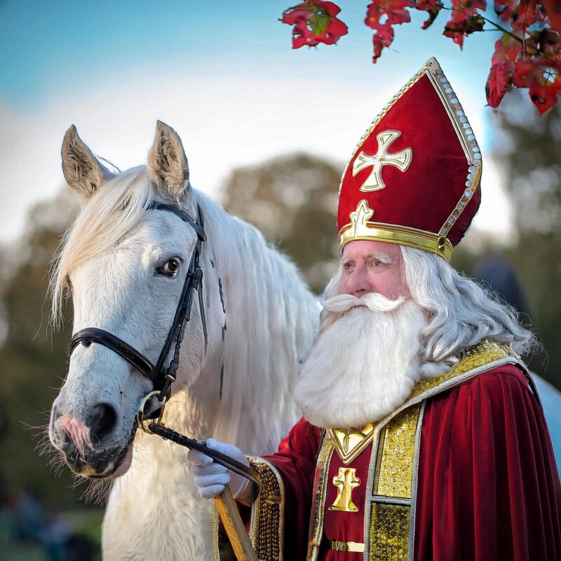 sinterklaasfeest organisere